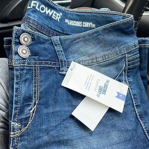 Wallflower bootcut jeans curvy fit size 7